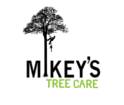 Mikey's