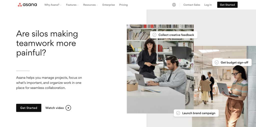 Asana Landing Page Hero Banner Image - Consultus Digital