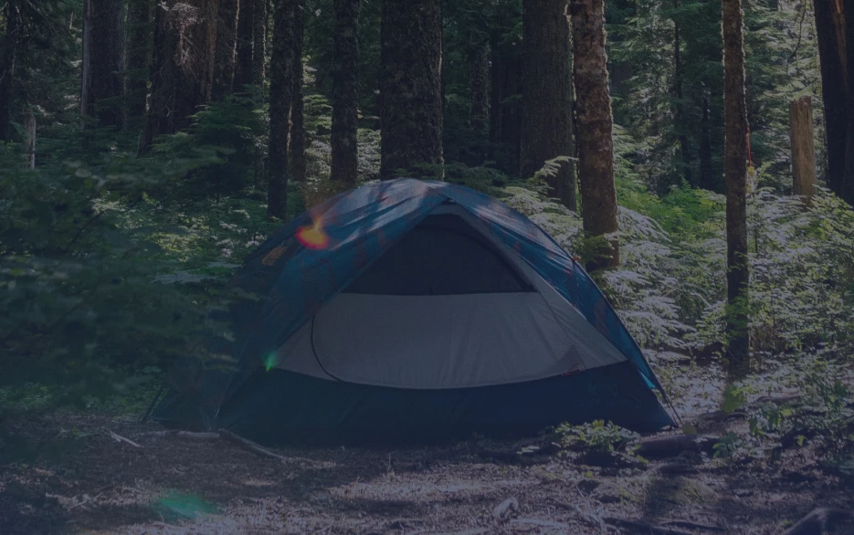 Harmony Resorts Case Study - Consultus Digital